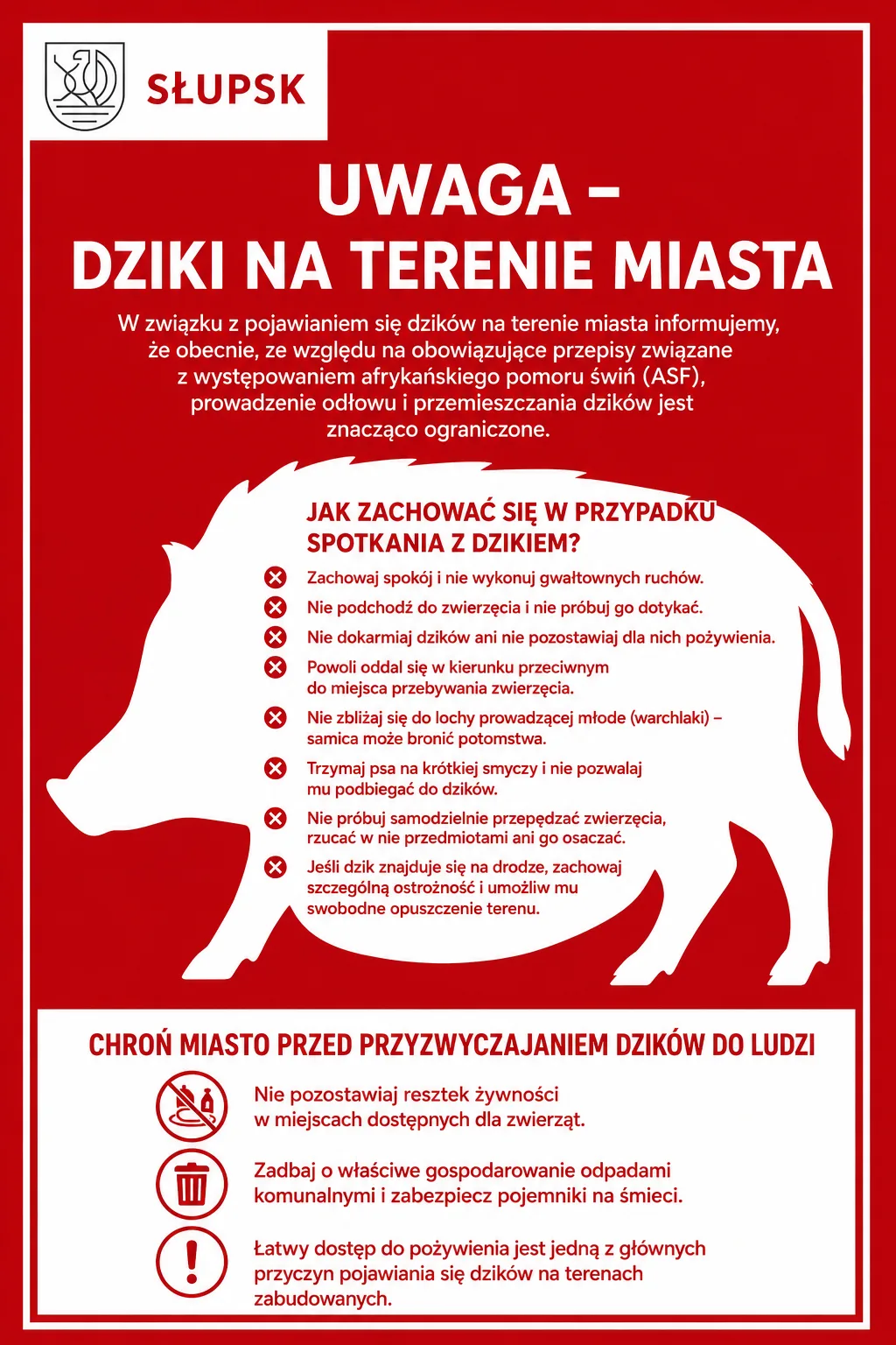 Uwaga na dziki w mieście