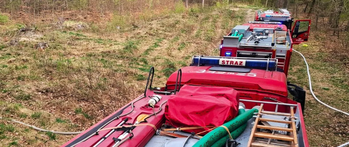 Pożar w lesie w Niewierowie