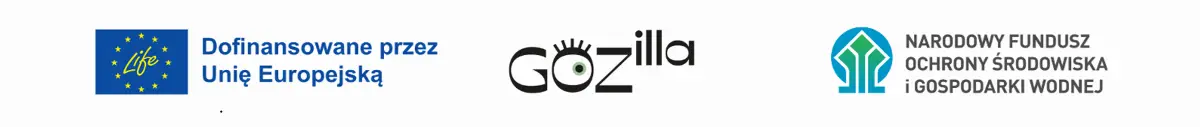 Badanie Ministerstwa Rozwoju i Technologii dotyczące finansowania gospodarki obiegu zamkniętego